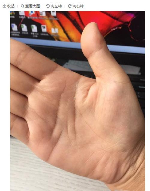 兩條智慧線