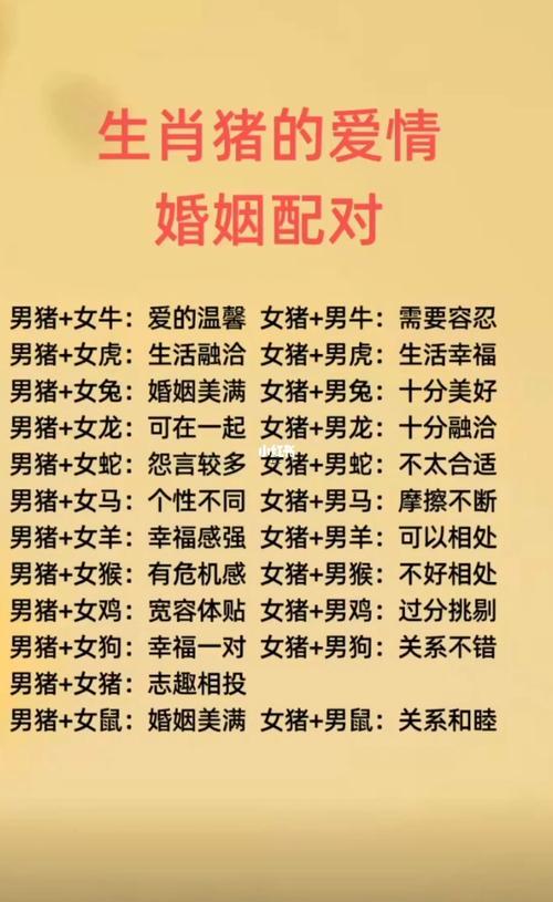 屬豬的與什么東西屬相最配