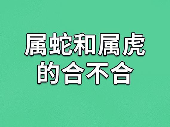 虎還有蛇相配婚姻怎樣