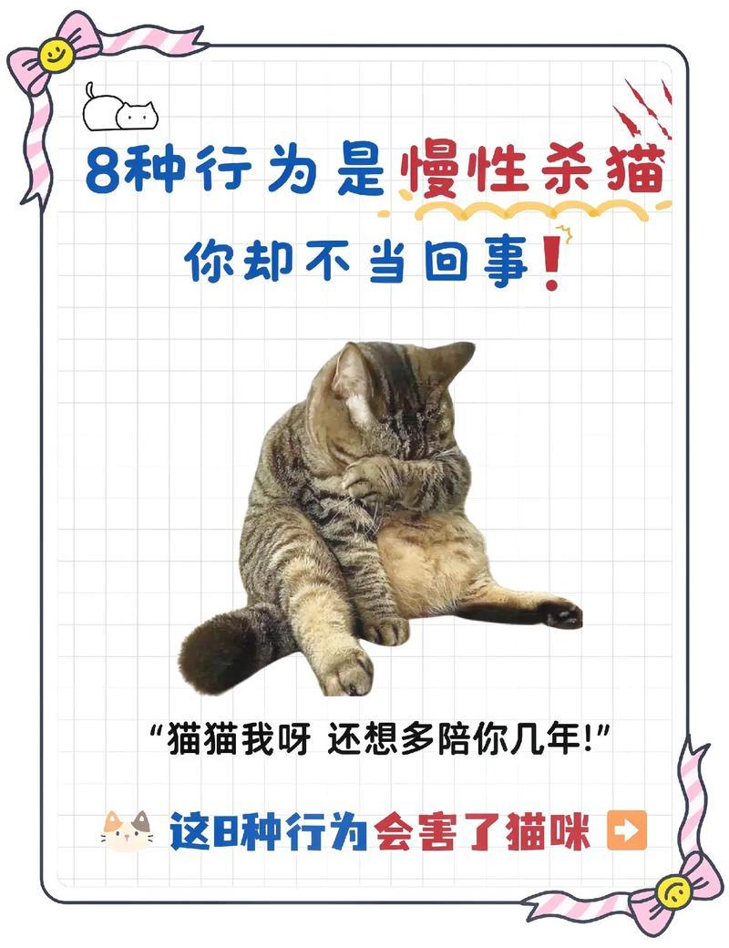 夢到殺貓是啥意思周公解夢