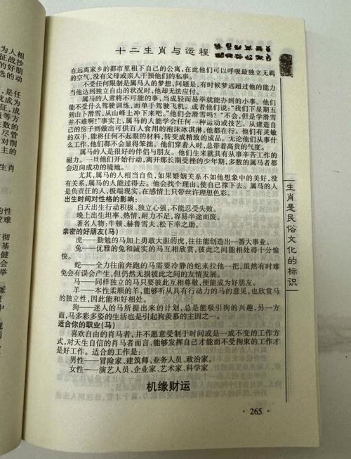 屬馬人跟誰共同財(cái)運(yùn)