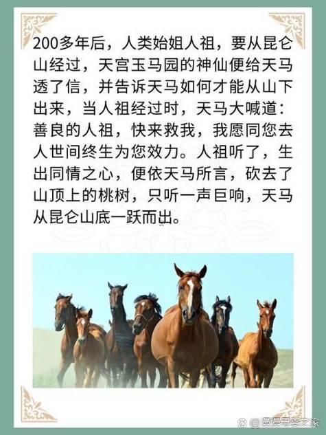 屬馬的人老了怎么樣
