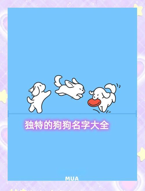 可愛寵物名字大全洋氣