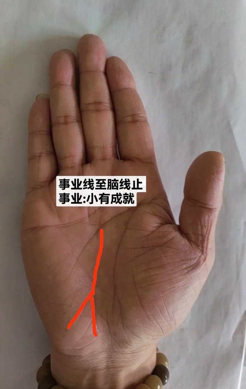 女有通天紋手相代表什么
