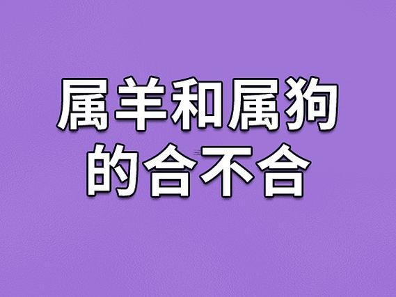 屬羊女屬狗男的姻緣怎樣