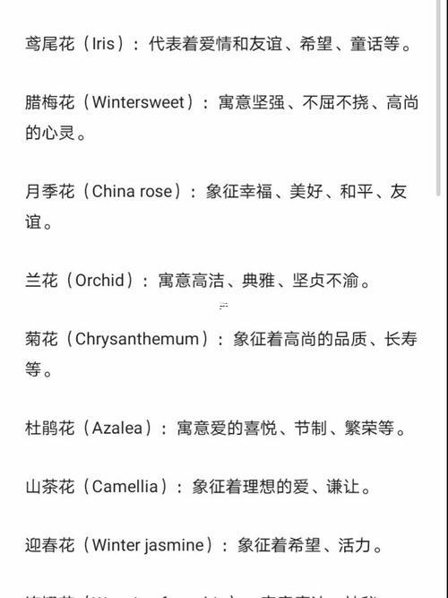 qq個(gè)性英語(yǔ)網(wǎng)名