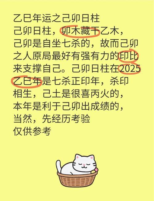 乙酉日柱遇2025乙巳流年