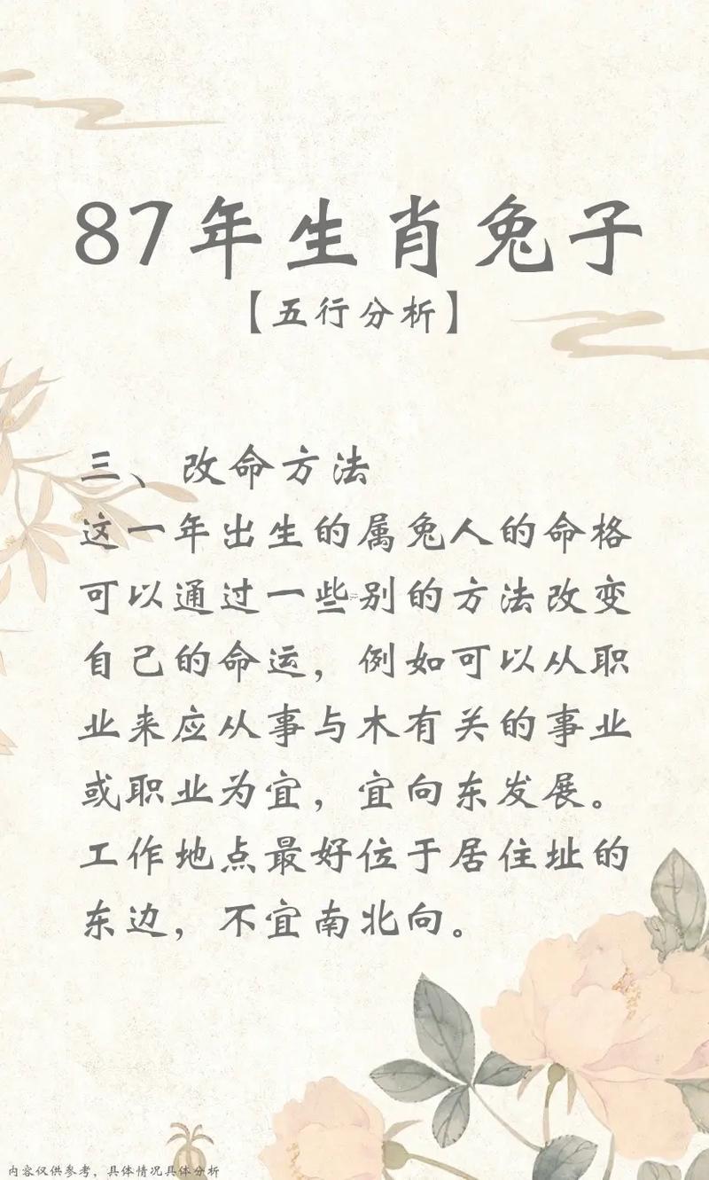 本命年兔年要注意什么