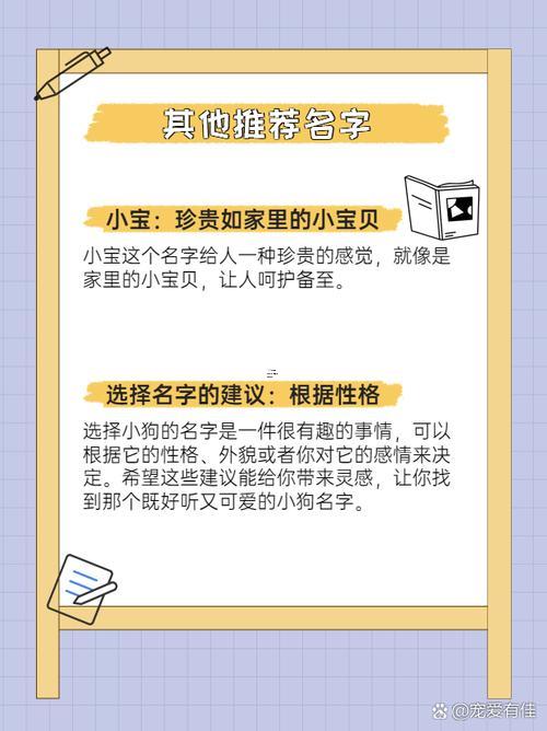 萌萌噠寵物名字大全