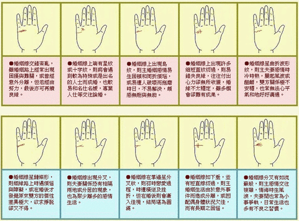 手紋線各代表什么