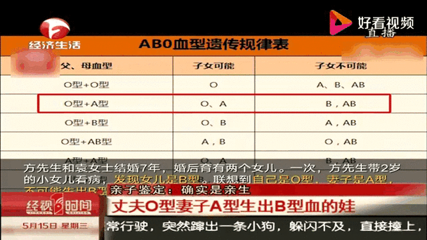 b型血的人