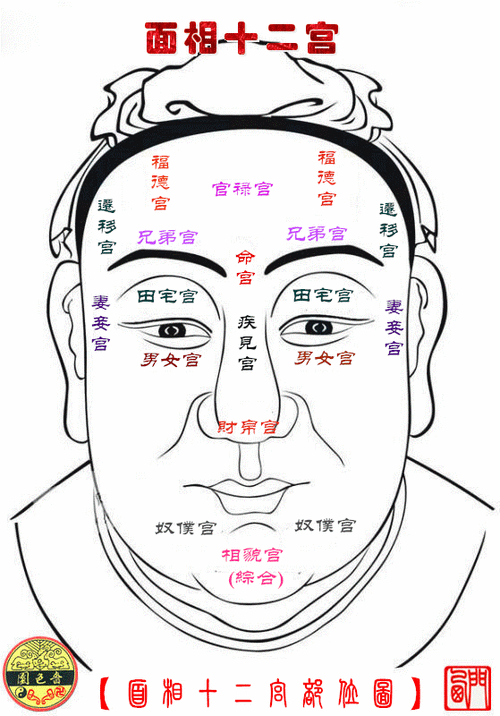 面部風(fēng)水12宮位圖