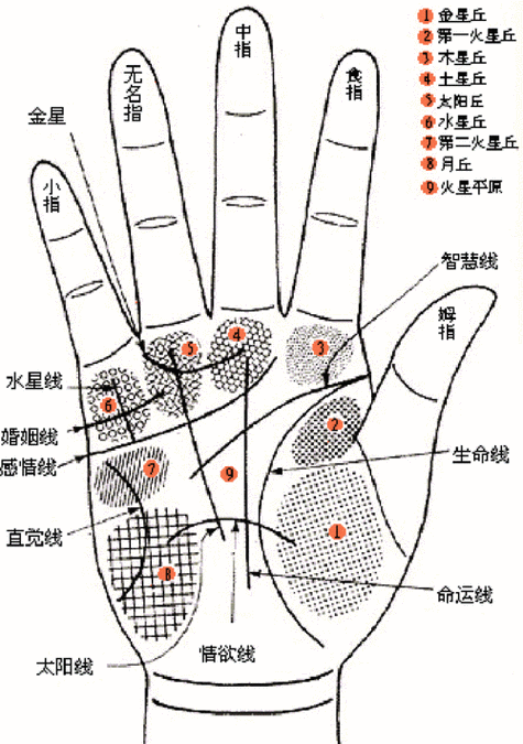 看手相的老師